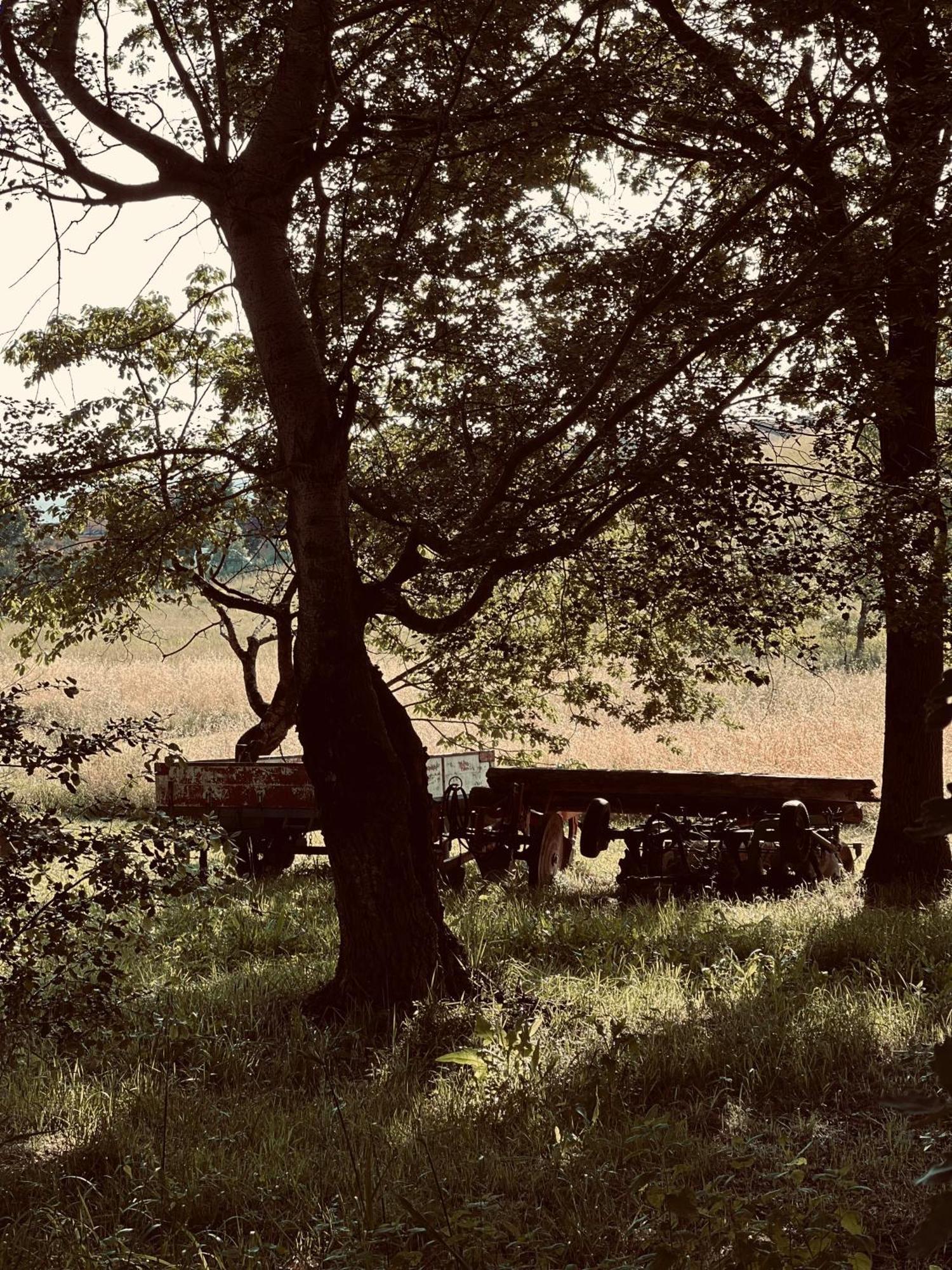 Il Felcino Villa Fabro Exteriör bild